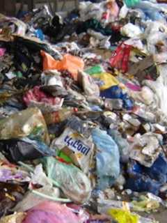 Greenburgh Nature Center, Edgemont HS Hasten To End Waste