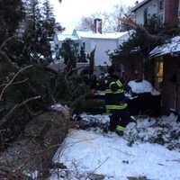 <p>A 75-foot pine tree fell into the rear of the building at Fairfield Fire Station No. 4 on Thursday.</p>