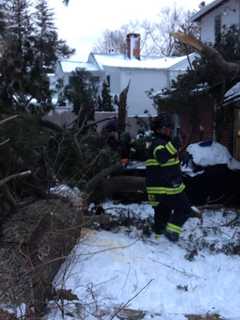 75-Foot Pine Tree Crashes Into Fairfield Fire Station