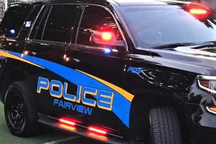 Fairview PD: Teen Muggers Caught