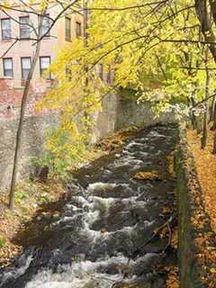 Poughkeepsie Hosts Community Cleanup