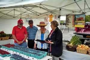 Catch The Last Hyde Park Farmers Market Of The Season