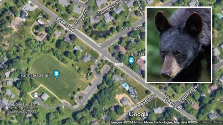 Farmstead Park in Upper Moreland Township; a stock photo of a black bear.&nbsp;