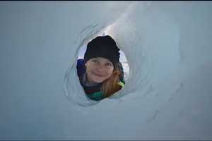 Walk On The Wild Side At Suffern Nature Film Festival
