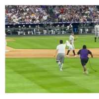 Out Of Left Field: Superfan Posts Clip Of Sprinting Intruder Making Beeline For Yanks' Volpe