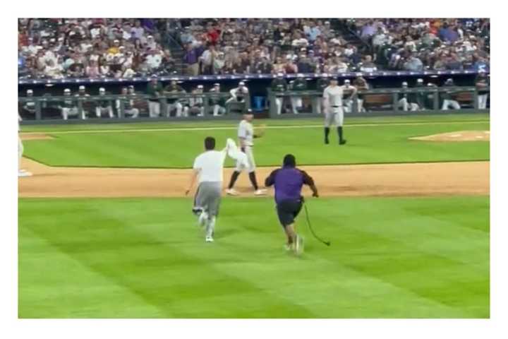 Out Of Left Field: Superfan Posts Clip Of Sprinting Intruder Making Beeline For Yanks' Volpe