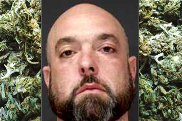 Kush-y Setup: 50 Plants, Four Pounds Of Pot Seized, Englewood Man Busted In Growhouse Raid