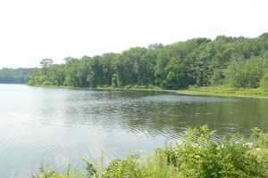Fundraiser For Diaper Providers Steps Off At FDR Park