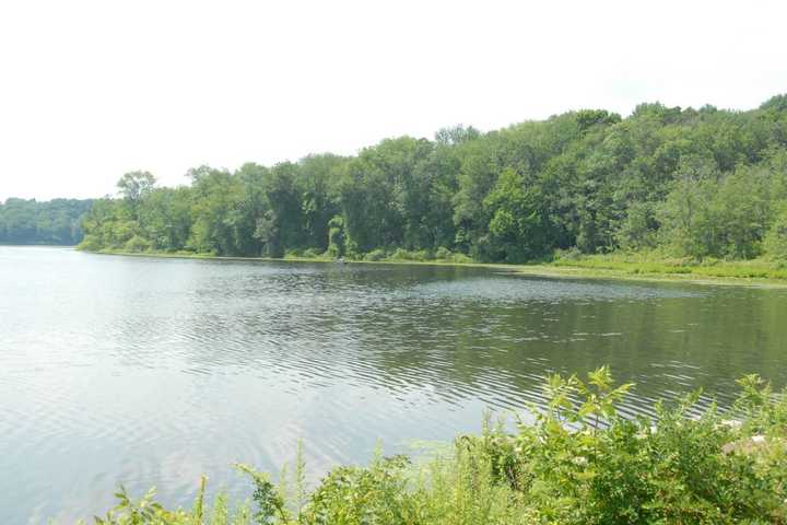 Fundraiser For Diaper Providers Steps Off At FDR Park