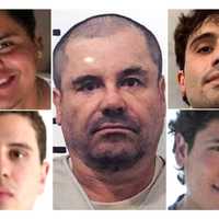 <p>TOP LEFT:  Ivan Guzman Salazar  / BOTTOM:  Iván Archivaldo

TOP RIGHT: Ovidio Guzman-Lopez / BOTTOM: Jesús Alfredo Guzmán

MIDDLE: Joaquin &quot;El Chapo&quot; Guzman</p>