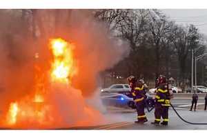 There's A Car In There Just Off Route 208 (VIDEOS)