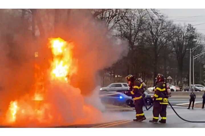 There's A Car In There Just Off Route 208 (VIDEOS)