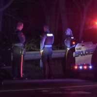 <p>Paramus officers at the scene following the crash and capture of three teens in a stolen car.</p>