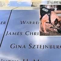 <p>Gina-Gina,&nbsp;Gina Sztejnberg</p>