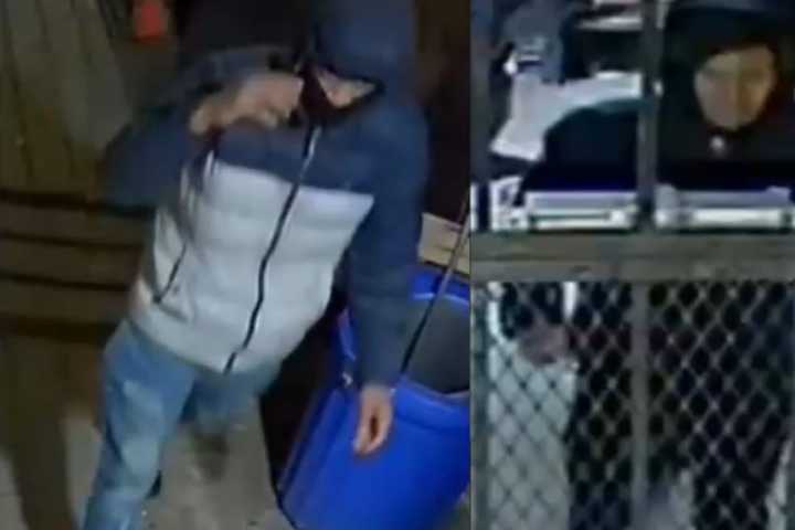 Disturbing Video Shows Robbers Hold Philly Bar Patrons At Gunpoint: Police