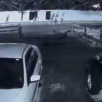 Not Kool: Group's TikTok 'Challenge' Damages Property At Long Island Home (Video)