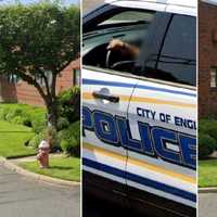 SEE ANYTHING? Witnesses Sought To Hit-Run Englewood Bicycle Crash