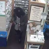 Brazen Burglar Breaks Into Wegmans Pharmacy