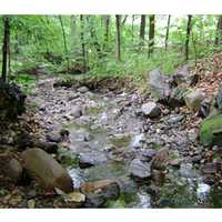 Man Pinned Beneath Huge Rock In Northeast Bergen Brook Rescued By Firefighters