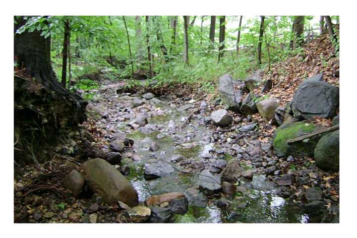 Man Pinned Beneath Huge Rock In Northeast Bergen Brook Rescued By Firefighters