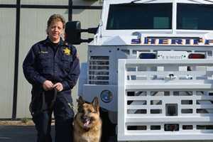 Essex County Sheriff's K9 Unit To Be Disbanded By End Of Year