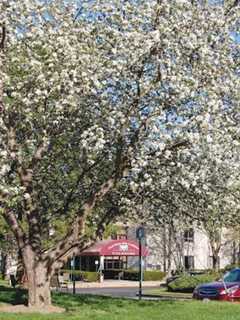 Field Home Selling Field Home, Seabury In Cortlandt Manor