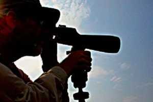 Allendale Nature Group Seeks North Jersey Bird Counters