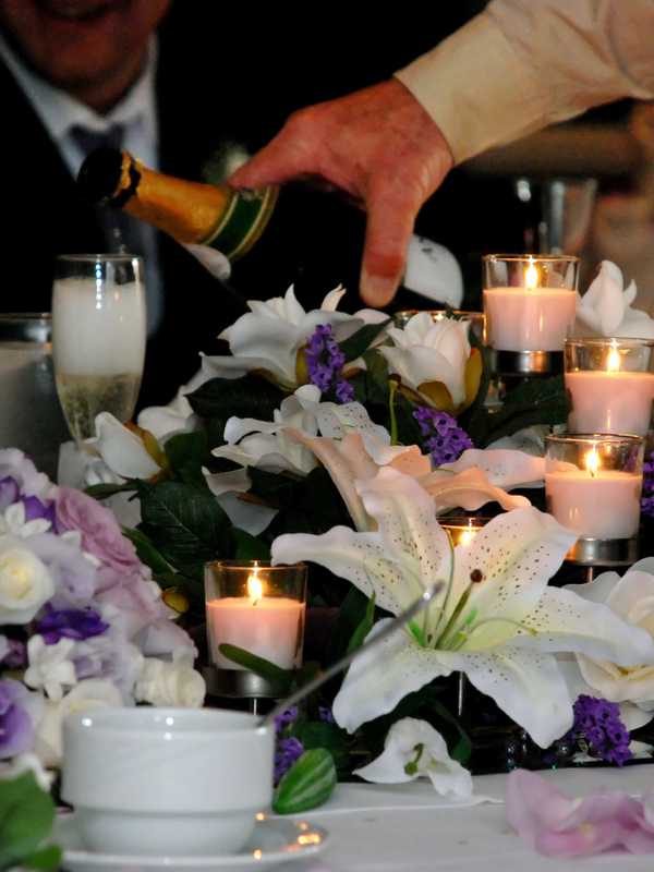 Park Ridge Red Tie Vs. Black Dress Gala Will Unite Crowds In Park Ridge