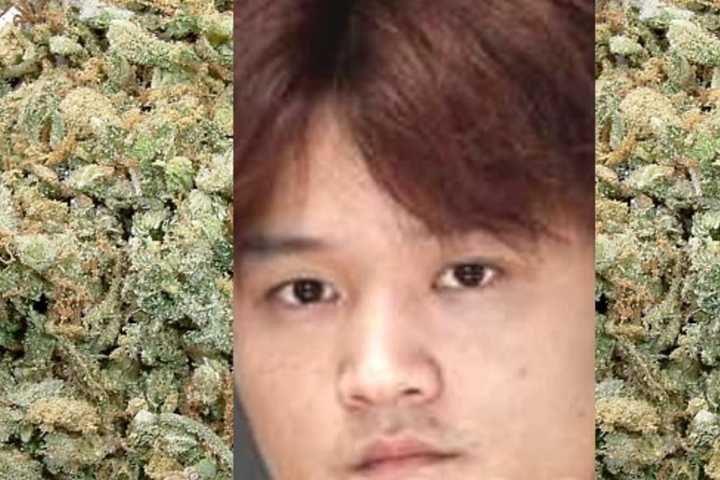 It's 420 — As In Pounds Of Pot Seized In Bergen County Stop