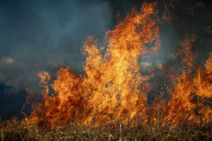 Final New York Firefighters Return From Battling Wildfires In Oregon, California