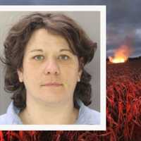 Hollywoodesque Crime Spree Lands PA Woman Jail Time: DA