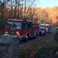 Three Dogs Die In Monroe Fire