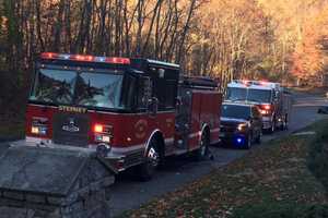 Three Dogs Die In Monroe Fire