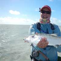 Gear Up For Fly Fishing Anywhere In World At The Compleat Angler In Darien