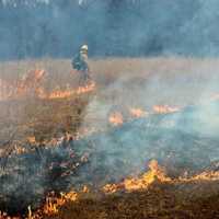 Nearly 290 Acres Burned In Less Than 48 Hours At Fort Indiantown Gap