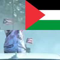 <p>Top left, bottom: Screenshots by Daily Voice and Tim McNicholas, respectively, showing the flag being waved in the video. Right: The Palestinian flag, showing how the colors and patterns differ from the now-viral video.</p>