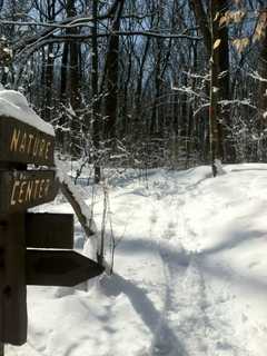 Englewood Nature Center Has Winter Camp For Kids