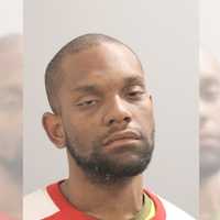 Burglar Ransacks Farmingdale Home, Dog Kills Homeowner's Cat