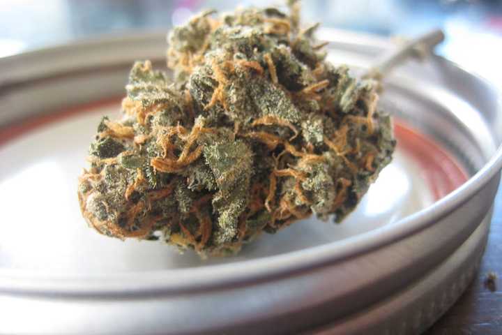 Bronxville To Opt Out Of Legalized Cannabis