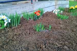 Ramapo Offers Free Mulch For Homeowners