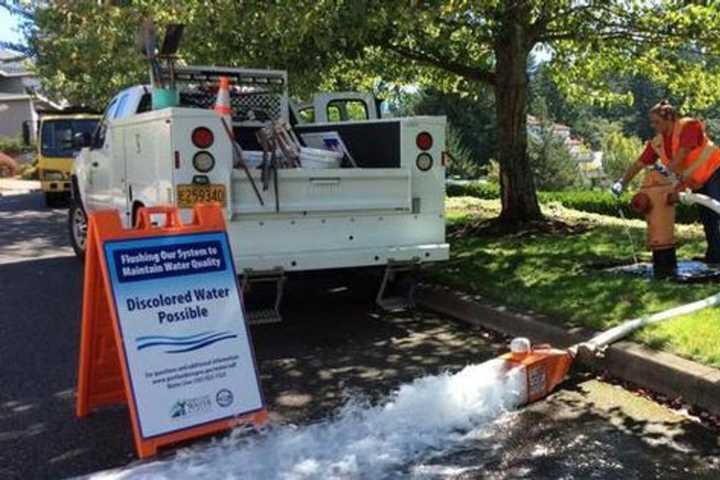 Ringwood To Flush Water Mains 