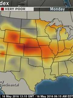 Pollen Counts Will Soar This Week In Bridgeport