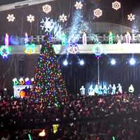 <p>Fort Lee will hold its annual tree lighting Thursday, Dec. 3 in the Jack Alter Community Center, 7 p.m.</p>