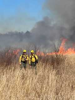 NYC Resident Accused Of Starting Wildfire In Region