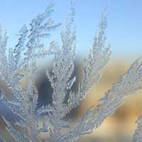 Frost Advisory In Effect For White Plains