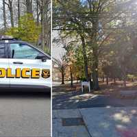 Pair Nabbed In Ridgefield Vehicle Burglary