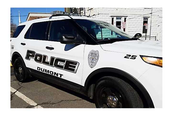 Cat Burglars Flee With Dumont Resident's Wallet After Failing To Find Vehicle Key Fob