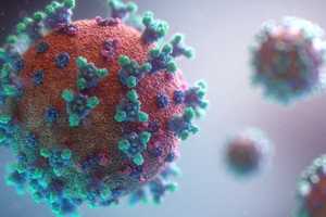 COVID-19: NY Cases Spike By 67K In One Day As Long Island Infection Rate Climbs Again