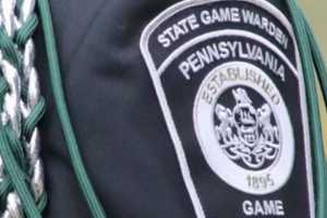 Two Young Children Injured In PA Bear Attack, Game Wardens Say