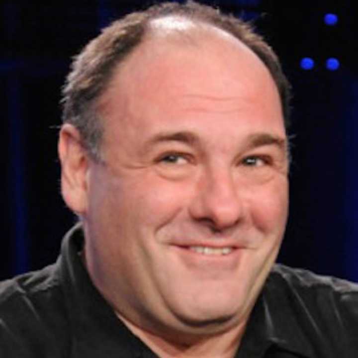 The JFOT Best of the Fest Award is named in honor of the late James Gandolfini.